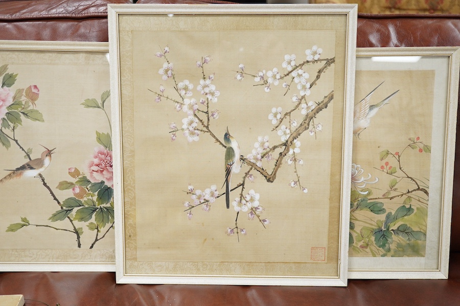 20th century, Chinese School, set of five watercolours on silk, Birds of Paradise amongst flowers, 28 x 33cm. Condition - fair